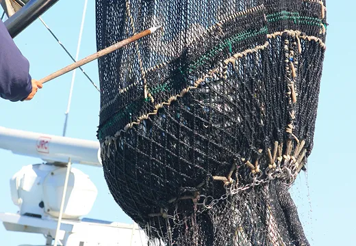 漁で網を上げている様子
